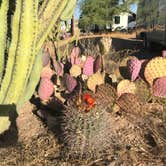 Review photo of Sonoran Skies Campground by Kaylene H., April 16, 2021