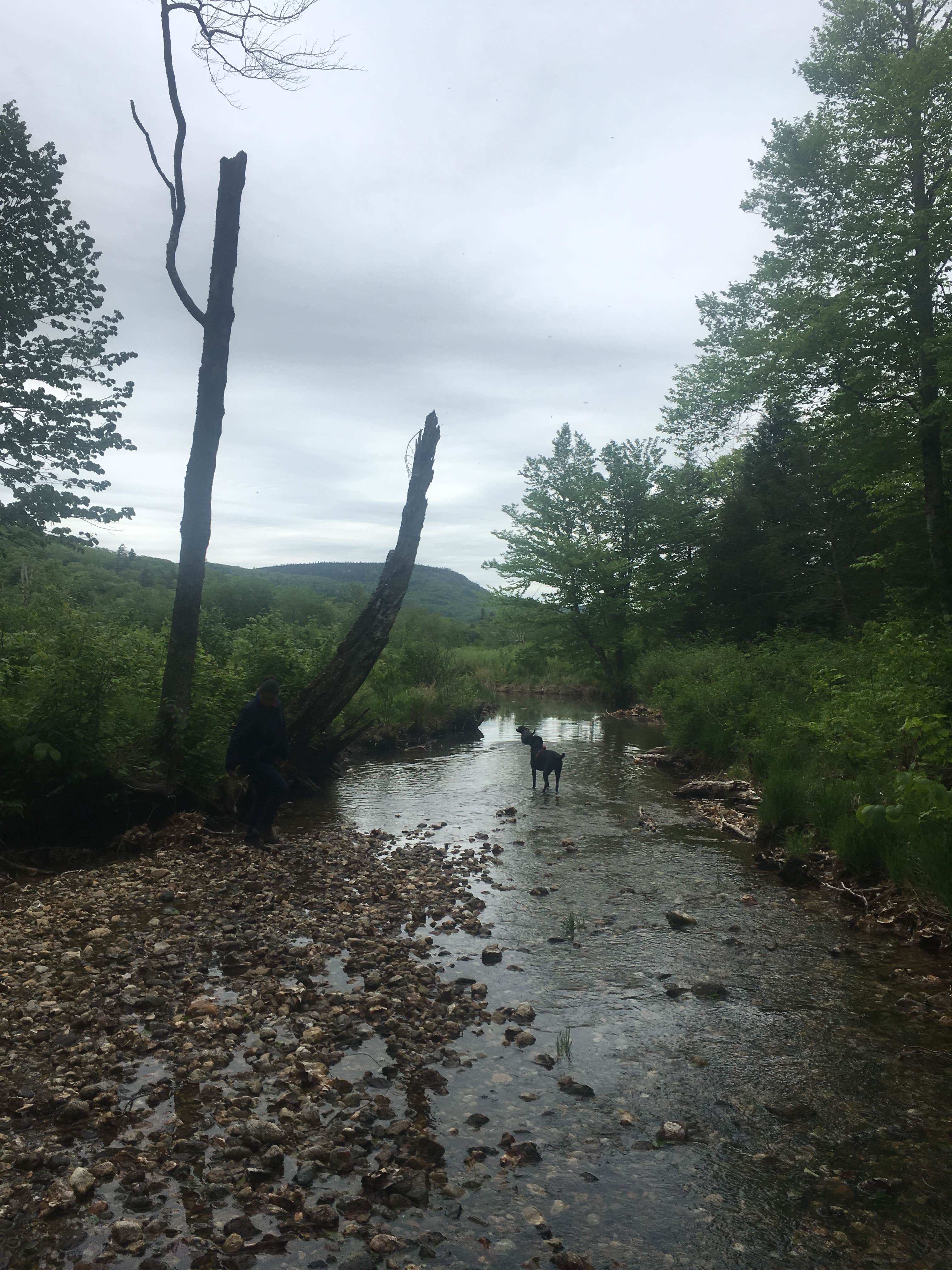 White Mountain National Forest Basin Campground The Dyrt