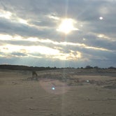 Review photo of Bayside Assateague Campground — Assateague Island National Seashore by Rebecca D., April 16, 2021