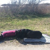 Review photo of Assateague Island National Seashore Campground by Rebecca D., April 16, 2021
