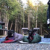 Review photo of Schoodic Woods Campground — Acadia National Park by Rebecca D., April 16, 2021