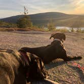 Review photo of Schoodic Woods Campground — Acadia National Park by Rebecca D., April 16, 2021