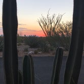 Review photo of Cactus Country RV Park - 55+ by Kaylene H., April 16, 2021