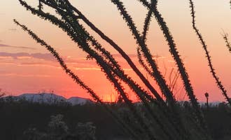 Camping near Evening Sun Campspot: Cactus Country RV Park - 55+, Vail, Arizona