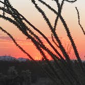 Review photo of Cactus Country RV Park - 55+ by Kaylene H., April 16, 2021