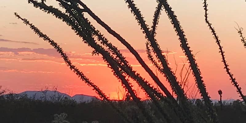 Camper submitted image from Cactus Country RV Park - 55+