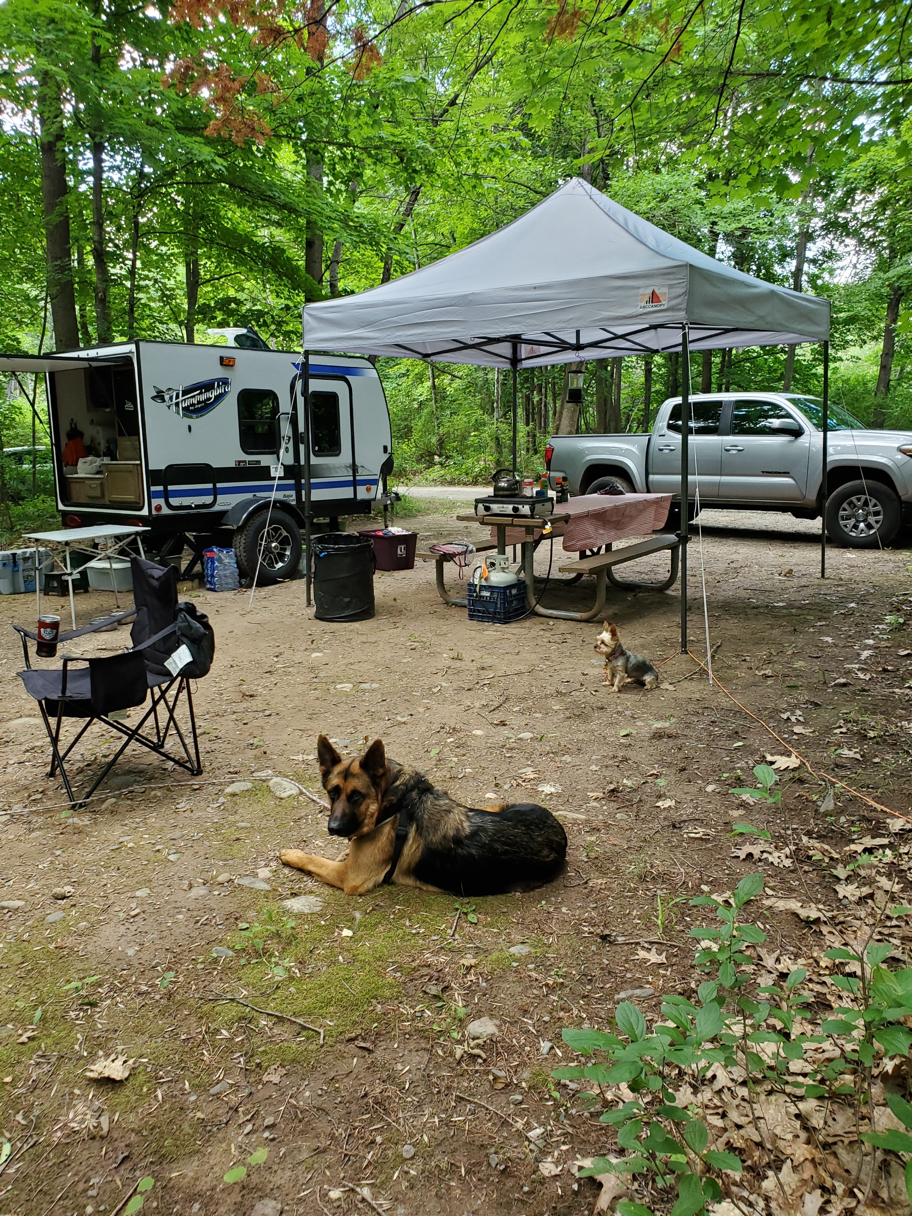Camper submitted image from Bewabic State Park - 5