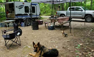 Jack T.'s photo of camping with pets at Bewabic State Park Campground near Crystal Falls, MI