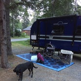 Review photo of Blackwoods Campground — Acadia National Park by Rebecca D., April 16, 2021