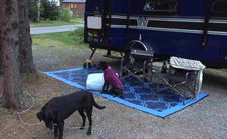 Rebecca D.'s photo of camping with pets at Blackwoods Campground — Acadia National Park near Milbridge, ME