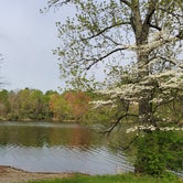 Review photo of Lake Mauzy East by Adrianne , April 16, 2021