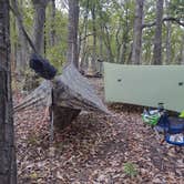 Review photo of Deep Water Trail Camp by Julie L., April 16, 2021