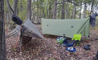 Julie L.'s photo at Deep Water Trail Camp near Uwharrie National Forest