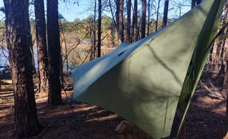Julie L.'s photo at Poplar Point Campground β Jordan Lake State Recreation Area near Hillsborough, NC