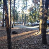 Review photo of Myrtle Beach KOA by Julie L., April 16, 2021