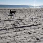 Review photo of Myrtle Beach KOA by Julie L., April 16, 2021