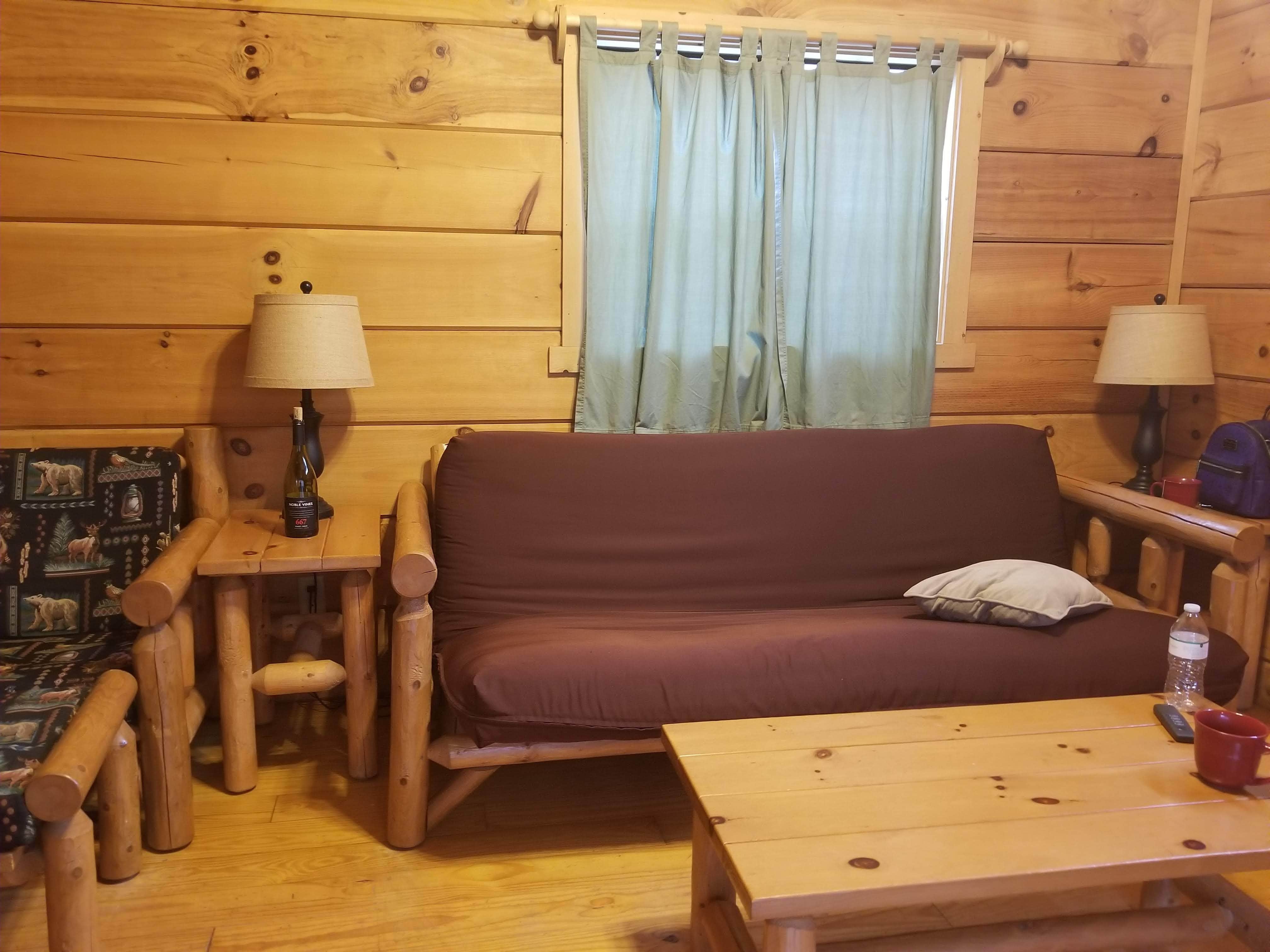 Camper submitted image from Travelers Rest-North Greenville KOA - 1