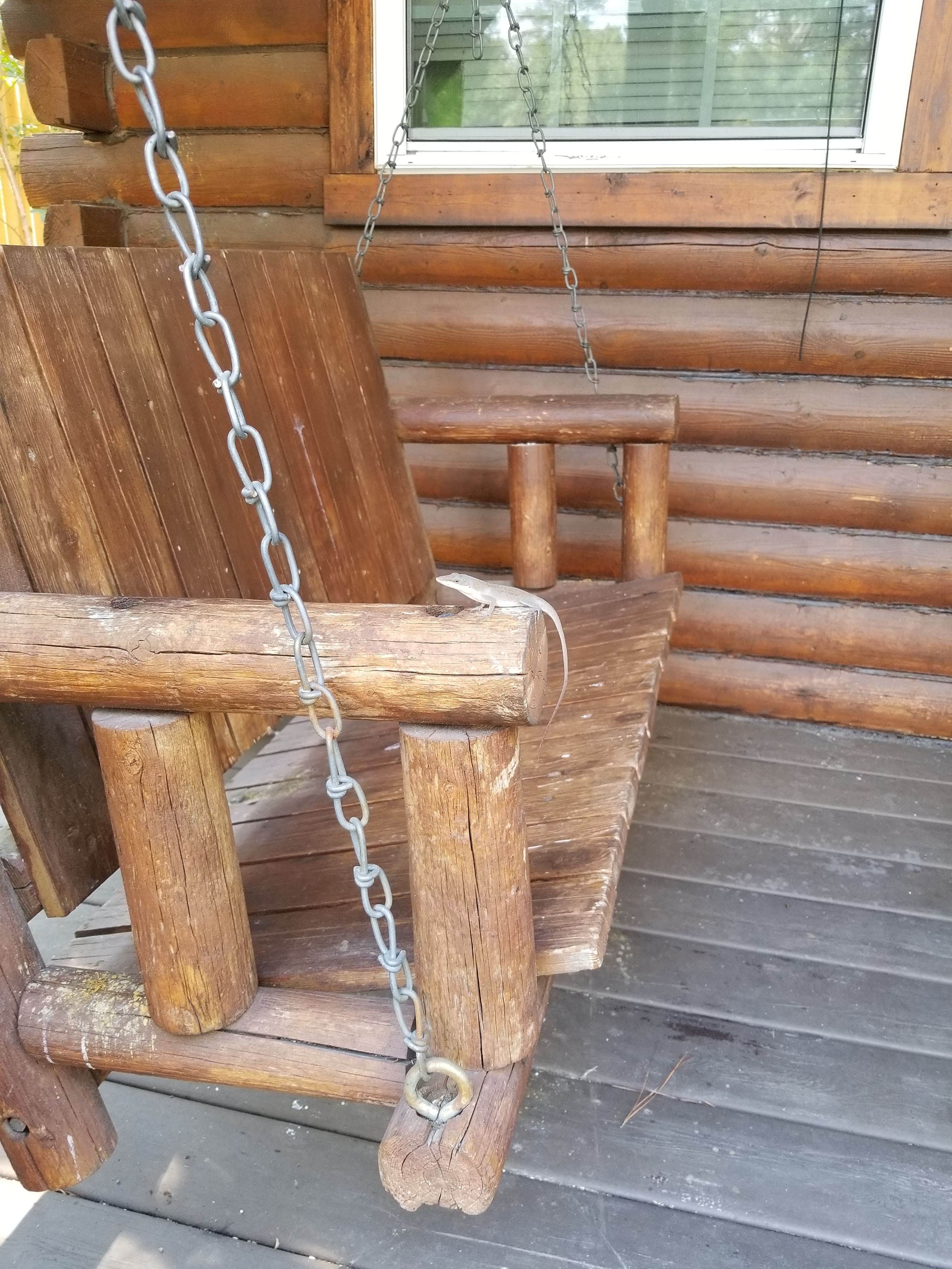 Camper-submitted photo at Charleston KOA near Huger, SC