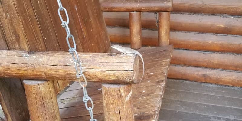 Camper submitted image from Charleston KOA