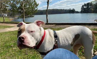 Linda S.'s photo of camping with pets at Bald Ridge Creek Campground- Lake Sidney Lanier near Duluth, GA