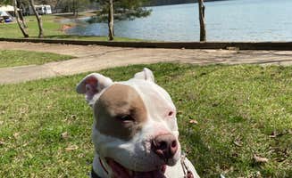 Linda S.'s photo of camping with pets at Bald Ridge Creek near Duluth, GA