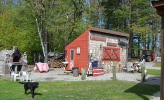 Nancy W.'s photo of camping with pets at Freeport / Durham KOA near Brunswick, ME