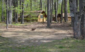 Nancy W.'s photo of a cabin at Freeport / Durham KOA near West Gardiner, ME