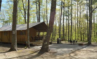 Nancy W.'s photo of glamping accommodations at Freeport / Durham KOA near North Bridgton, ME