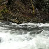 Review photo of Cosby Campground — Great Smoky Mountains National Park by Chris A., April 16, 2021