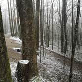 Review photo of Cosby Campground — Great Smoky Mountains National Park by Chris A., April 16, 2021