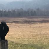 Review photo of Cades Cove Campground by Chris A., April 16, 2021