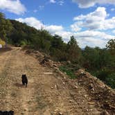 Review photo of Pine Mountain State Resort Park by Shelly S., July 14, 2016