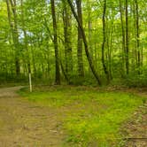 Review photo of Franklin Trailhead by Shari  G., May 31, 2018