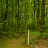 Review photo of Franklin Trailhead by Shari  G., May 31, 2018