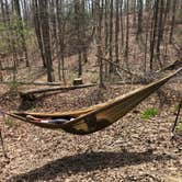 Review photo of Koomer Ridge Campground — Daniel Boone National Forest by Micah N., April 17, 2021