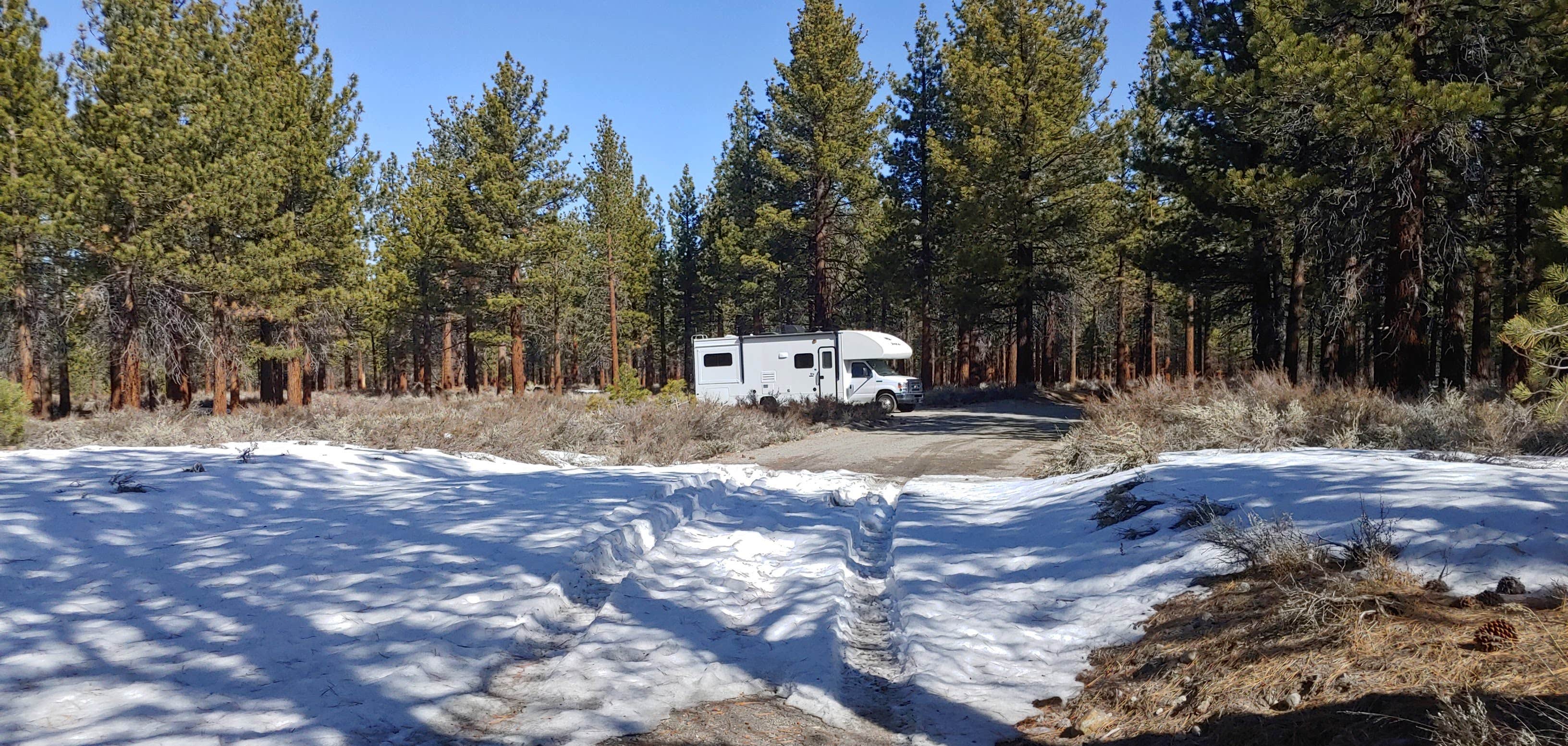 Camper-submitted photo at Sage Hen Dispersed near Inyo National Forest
