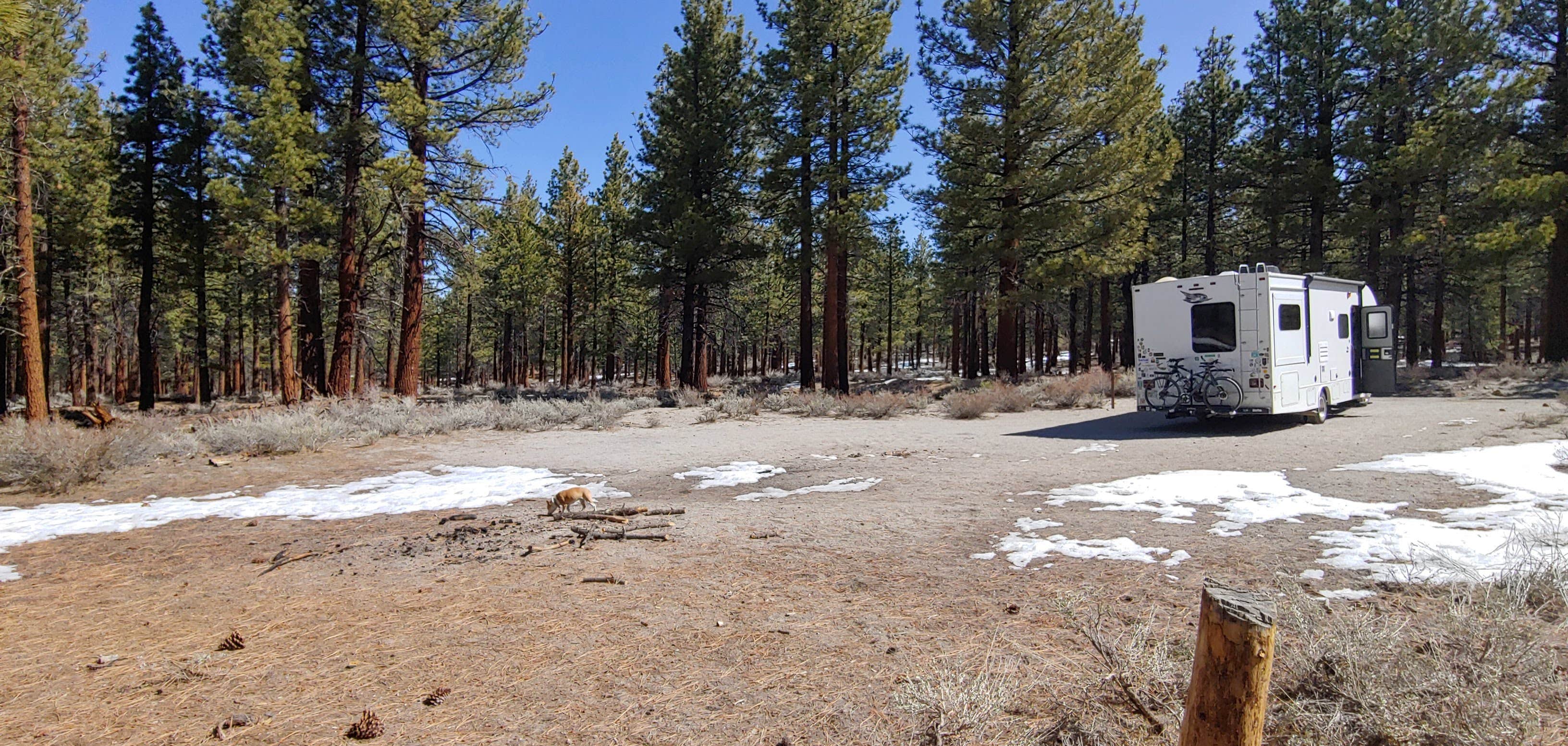 Camper-submitted photo at Sage Hen Dispersed near Inyo National Forest
