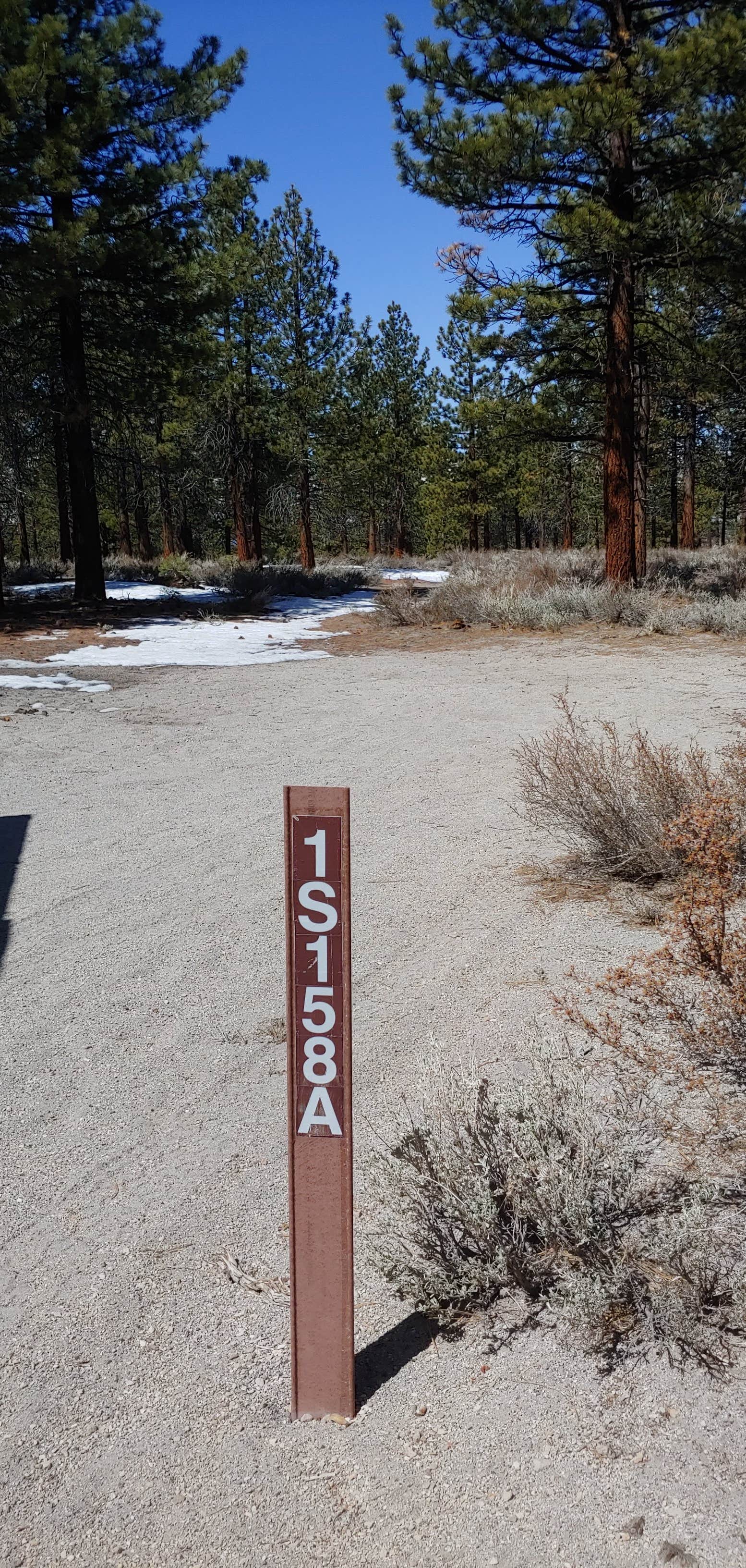 Camper-submitted photo at Sage Hen Dispersed near Inyo National Forest