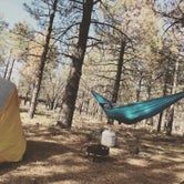 Review photo of El Prado Campground by Mandy , April 17, 2021