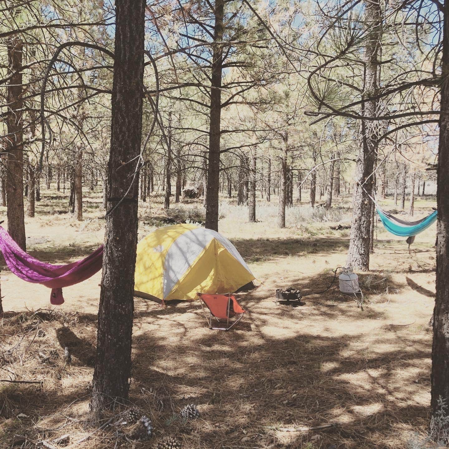 Mandy's photo at El Prado Campground near Descanso, CA