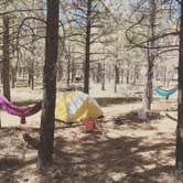 Review photo of El Prado Campground by Mandy , April 17, 2021