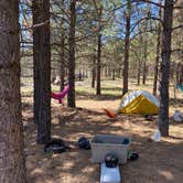 Review photo of El Prado Campground by Mandy , April 17, 2021