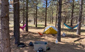 Mandy's photo at El Prado Campground near Boulevard, CA