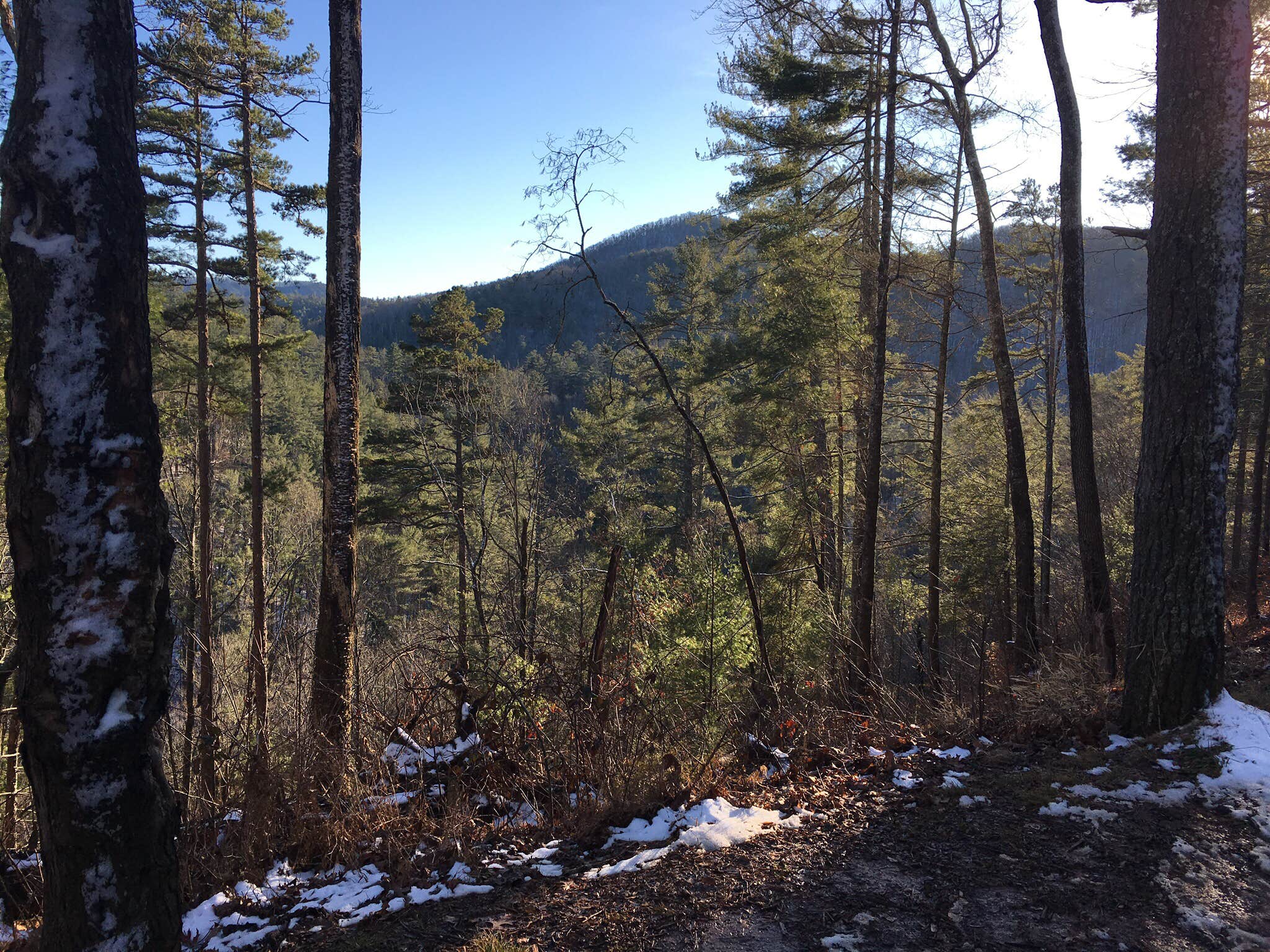 Camper-submitted photo at Low Gap Creek near Sautee Nacoochee, GA