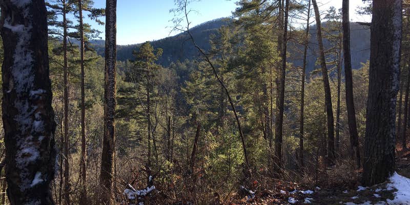 Camper submitted image from Low Gap Creek