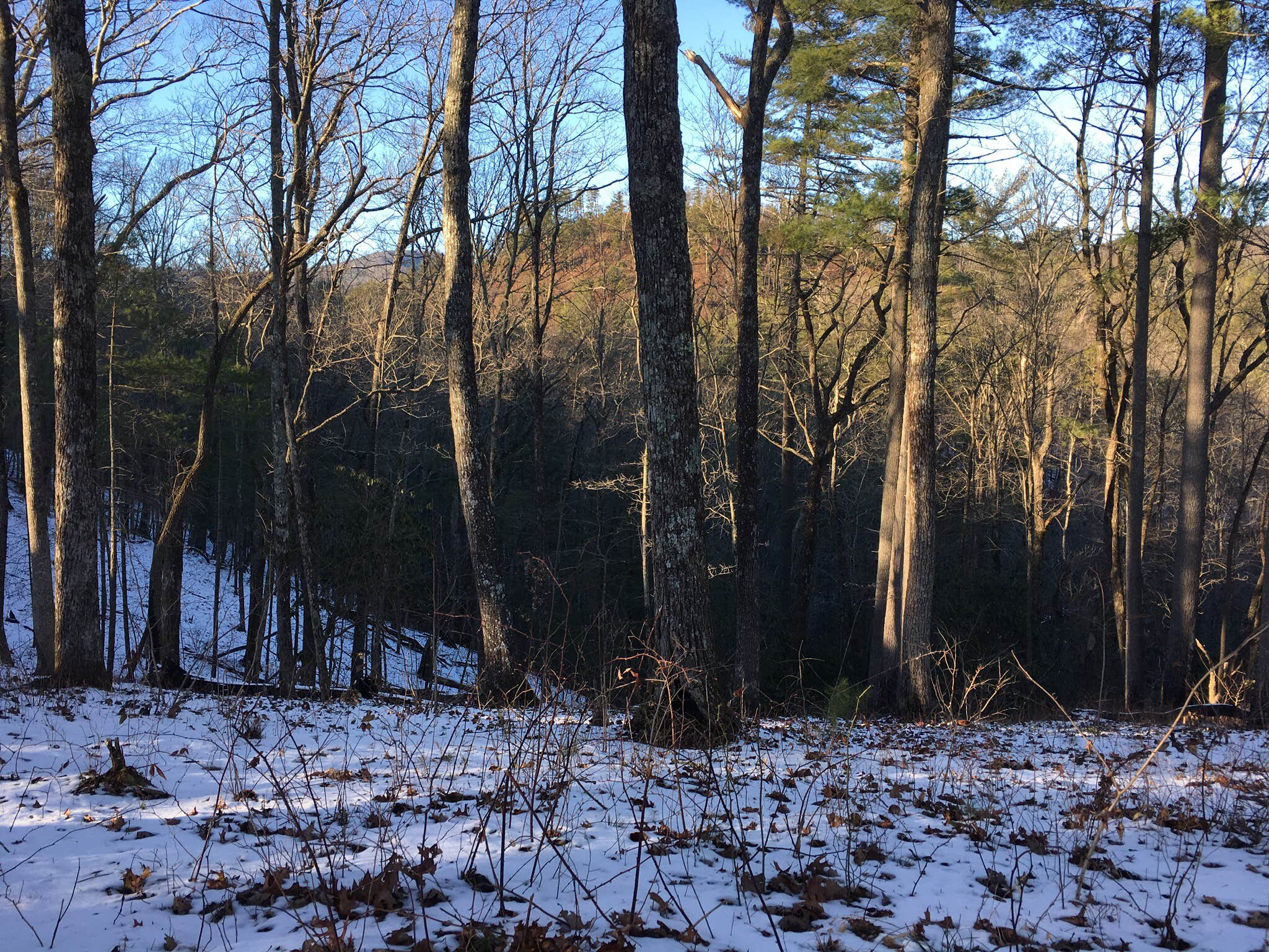 Camper-submitted photo at Low Gap Creek near Sautee Nacoochee, GA