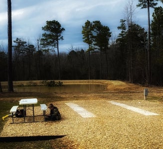 Camper-submitted photo from Knights Landing RV Resort