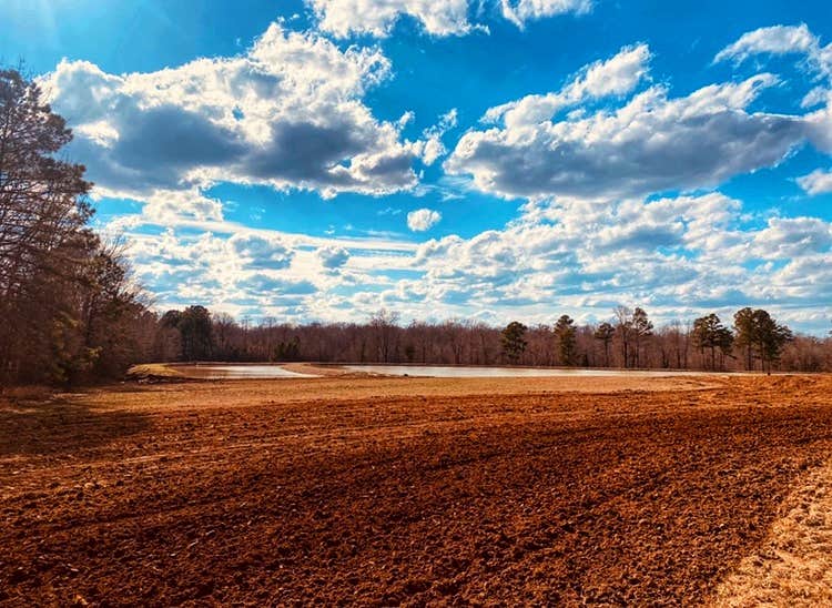 Knights Landing RV Resort Chidester, AR