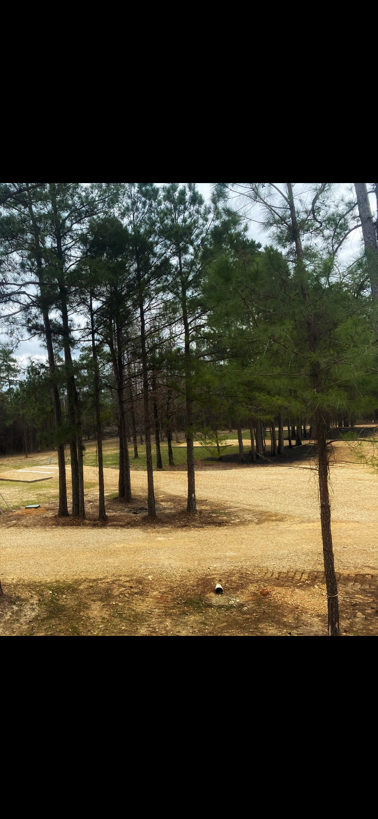 Knights Landing RV Resort Chidester, AR