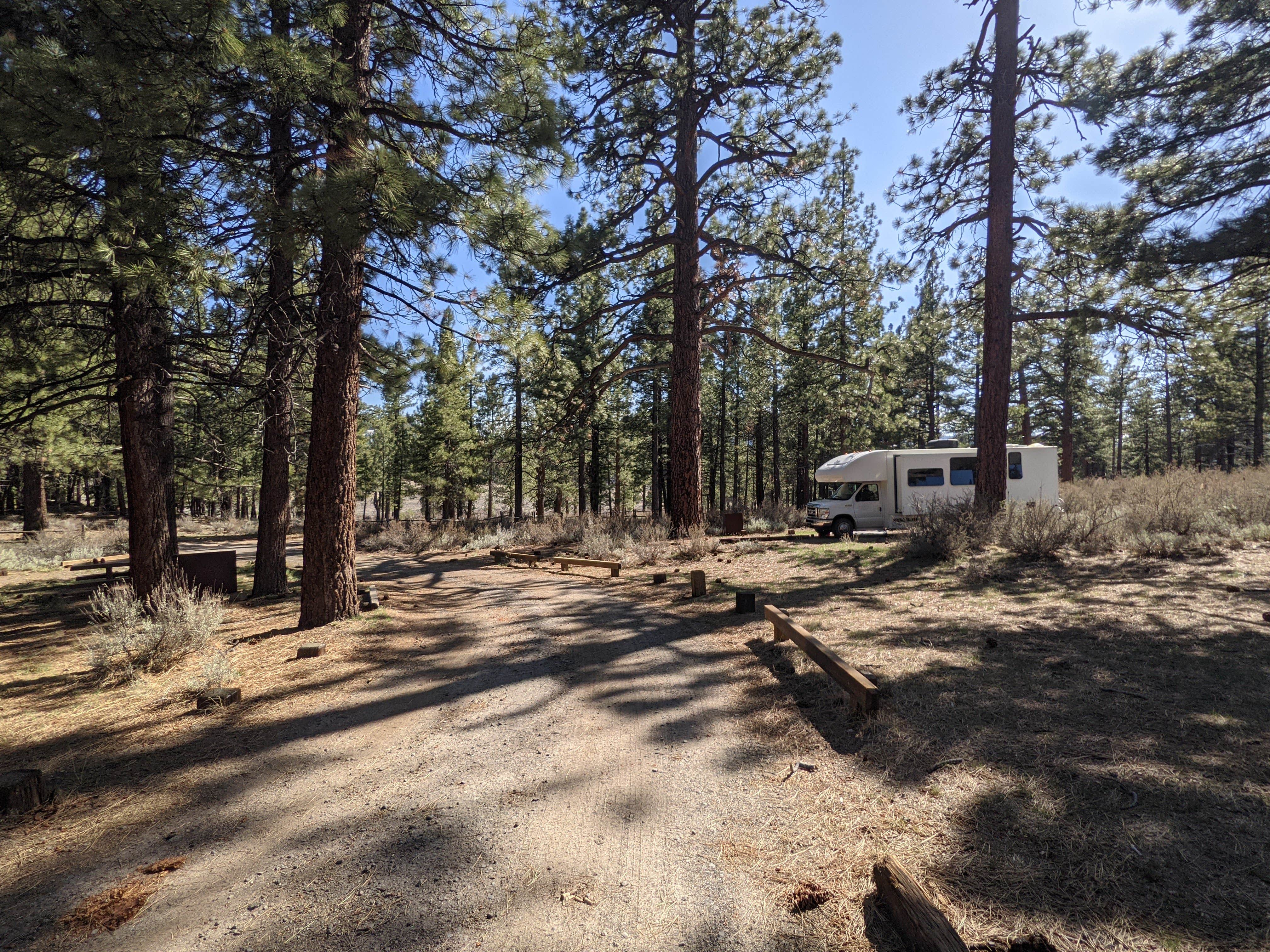 Camper submitted image from Meadow View Equestrian Campground - 4